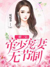 一婚二宝:帝少宠妻无节制 一婚二宝:帝少宠妻无节制