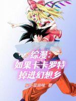 综漫:如果卡卡罗特掉进幻想乡 综漫:如果卡卡罗特掉进幻想乡