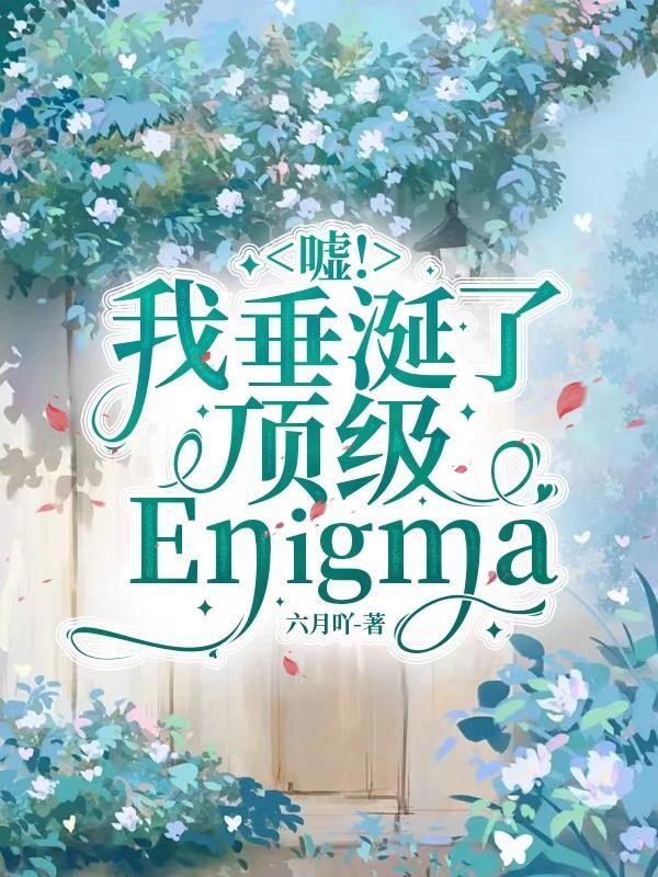 嘘!我垂涎了顶级Enigma 嘘!我垂涎了顶级Enigma