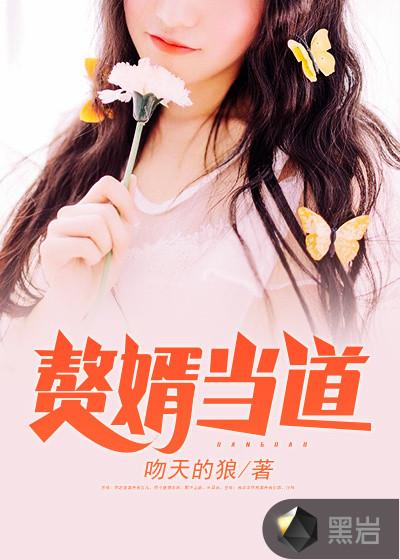 赘婿当道 赘婿当道