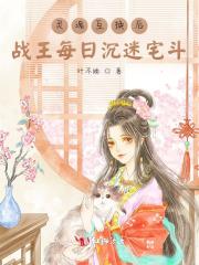 灵魂互换后,战王每日沉迷宅斗 灵魂互换后,战王每日沉迷宅斗