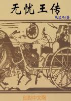 无忧王传 无忧王传