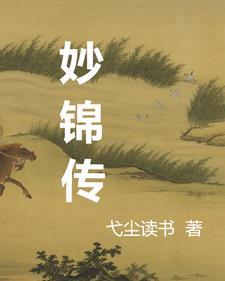 妙锦传 妙锦传