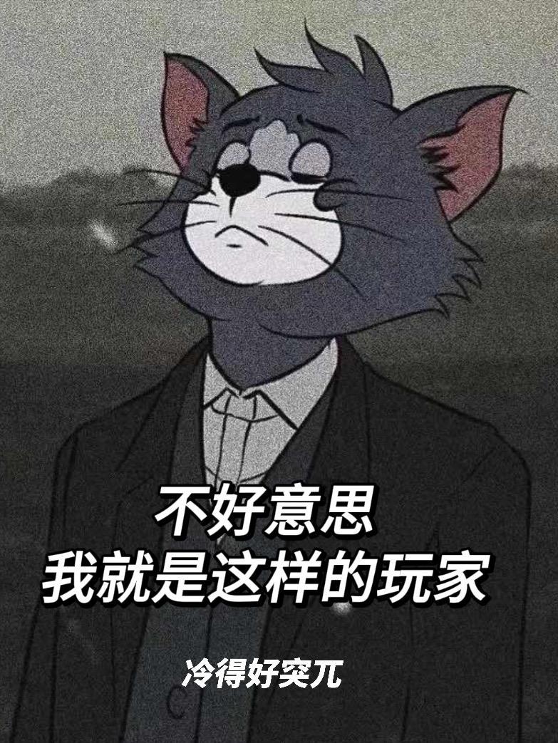 我就是这样的玩家 我就是这样的玩家