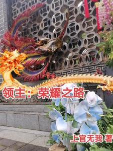 领主:荣耀之路 领主:荣耀之路