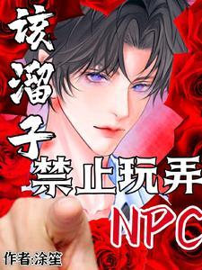 该溜子禁止玩弄NPC 该溜子禁止玩弄NPC