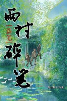 盗笔:雨村碎笔 盗笔:雨村碎笔