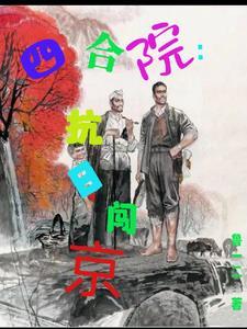 四合院:抗日闯京 四合院:抗日闯京