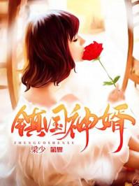 镇国神婿 镇国神婿