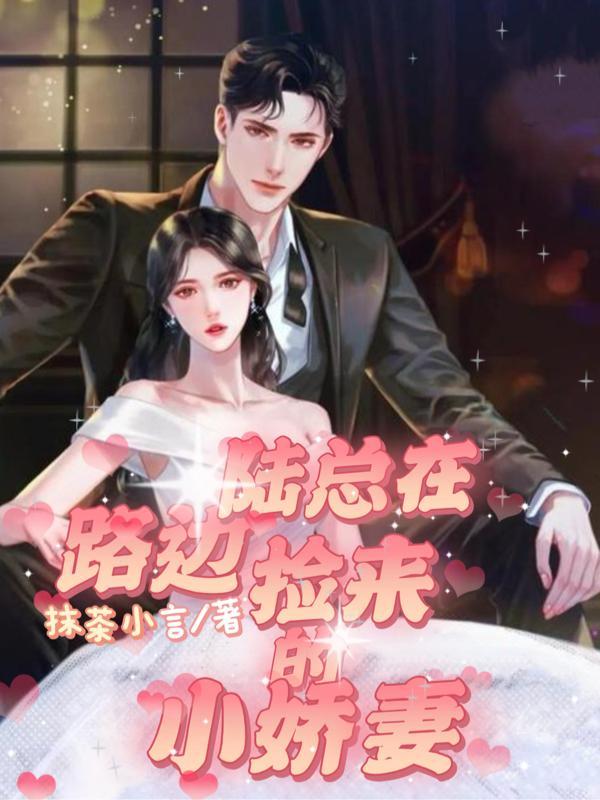 陆总在路边捡来的小娇妻 陆总在路边捡来的小娇妻