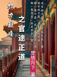 权力巅峰之官途正道 权力巅峰之官途正道