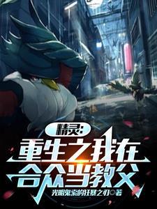 精灵:重生之我在合众当教父 精灵:重生之我在合众当教父